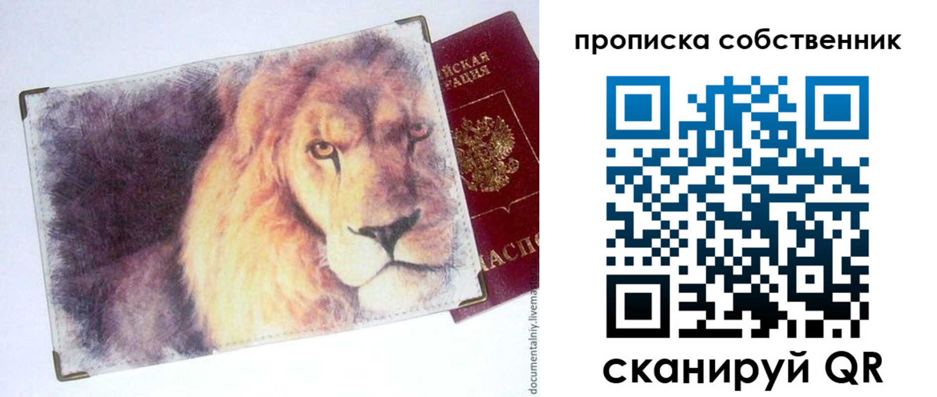 временная прописка в Завитинске